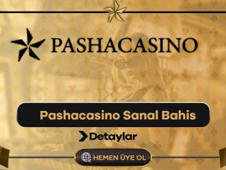 Pashacasino Sanal Bahis